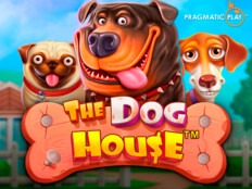 The dog house casino42